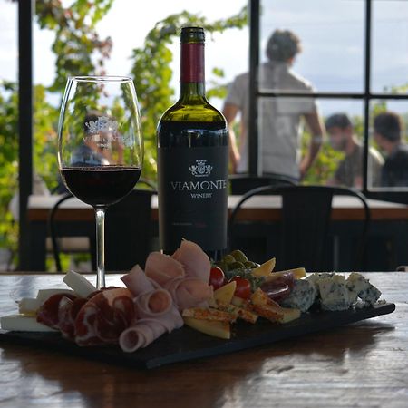 Viamonte Winery Lodge Chacras de Coria Exterior photo
