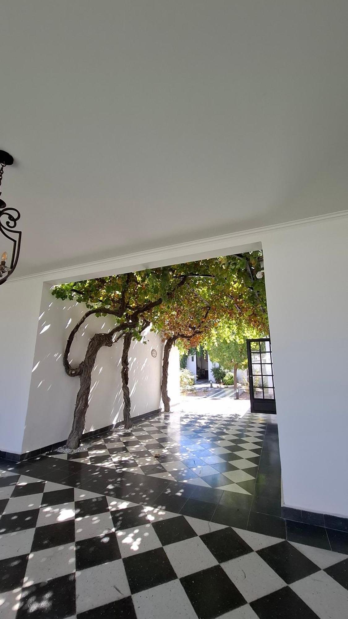 Viamonte Winery Lodge Chacras de Coria Exterior photo